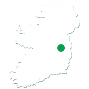Beef Biltong - Made In Ireland